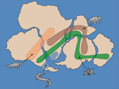 gondwana fossil map