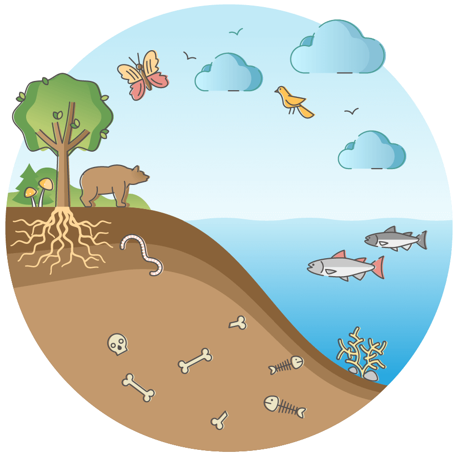 the earth system online lesson contents