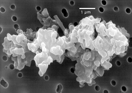 cosmic dust particle