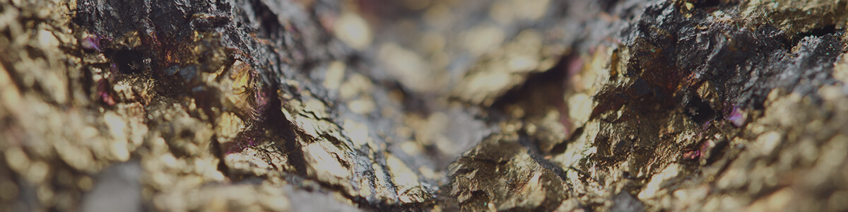 year 10 science online courses