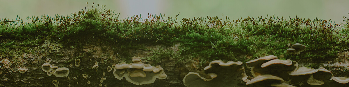 year 7 chemistry workbook good science