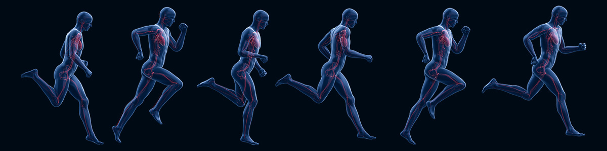 year 8 biology workbook good science