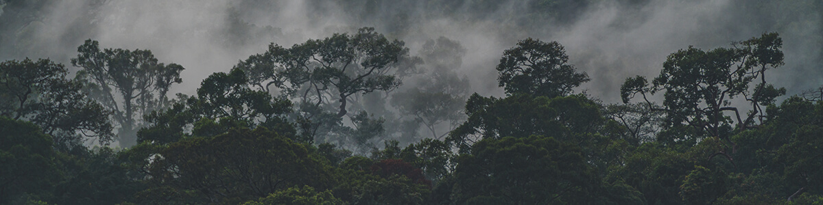 year 9 earth and space workbook good science