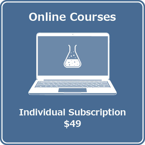 online courses individual subscription