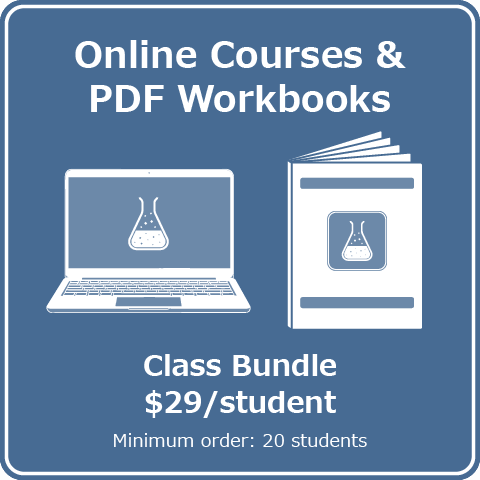 online courses pdf workbooks class bundle