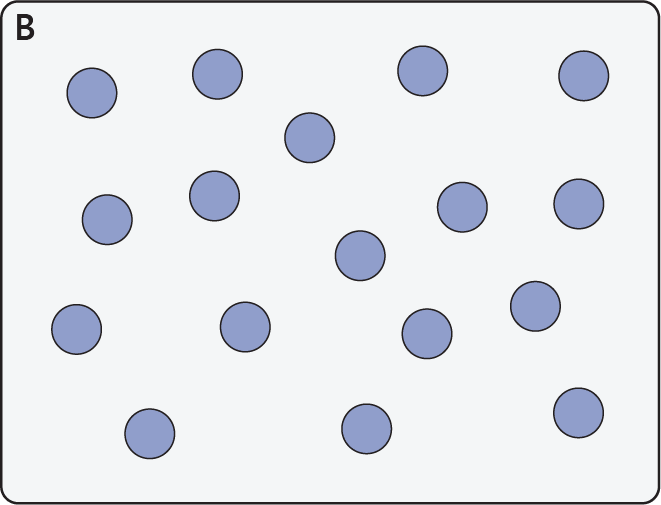 compounds matching b