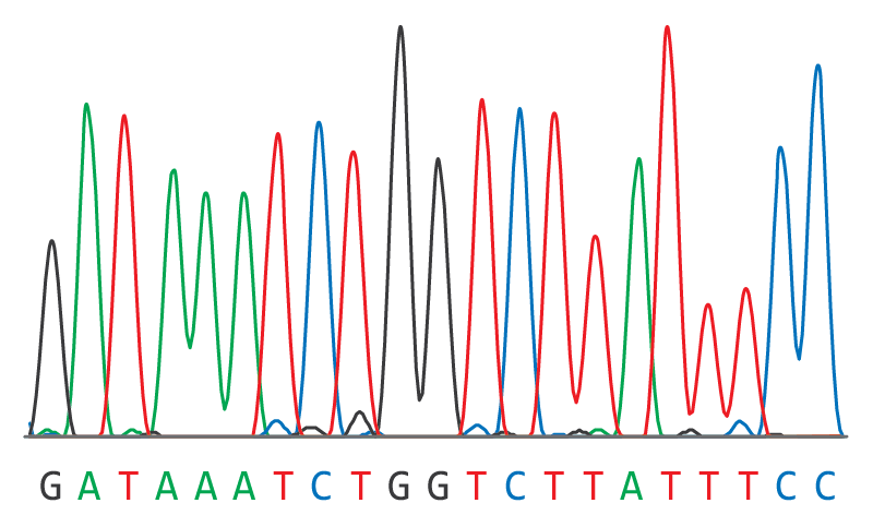 dna sequence chromatogram
